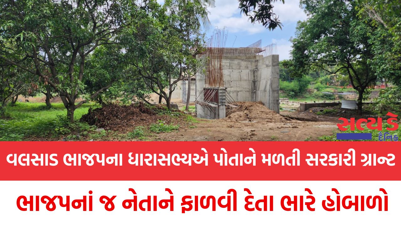Valsad bjp neta