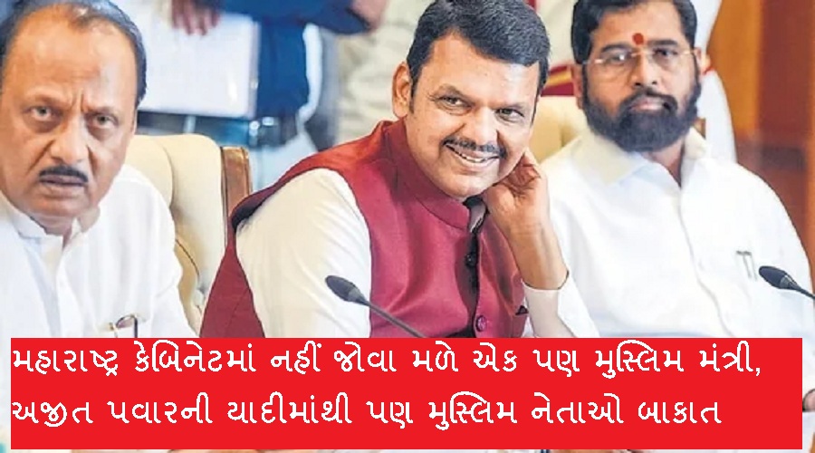 fadnavis shinde ajit 1