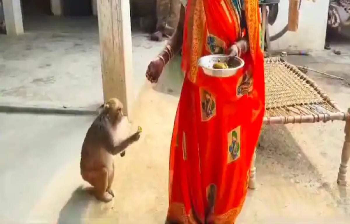 Ajab Gajab