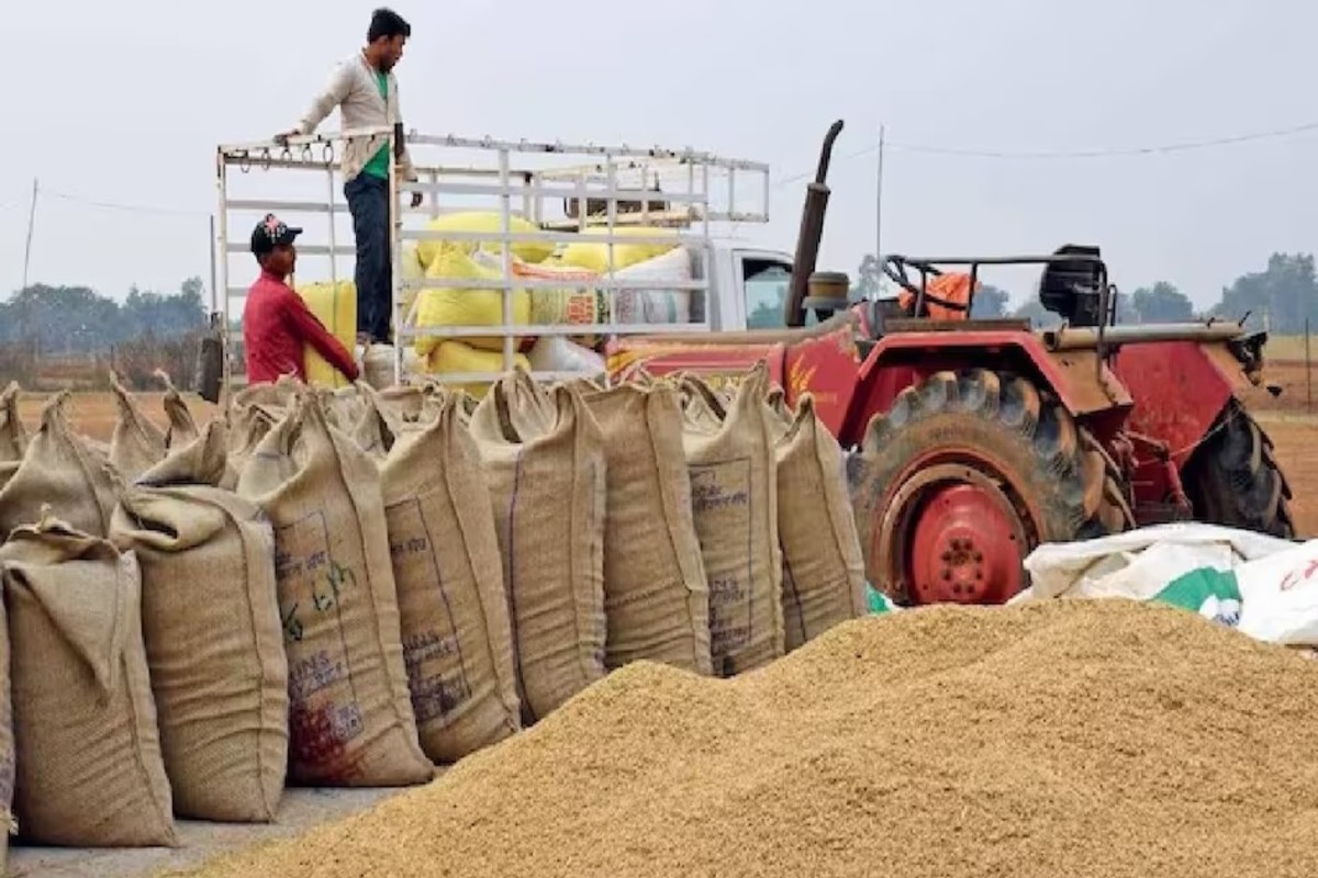 Paddy Procurement