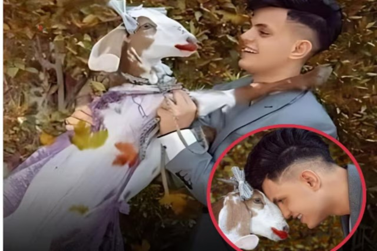 Young Man Married Goat