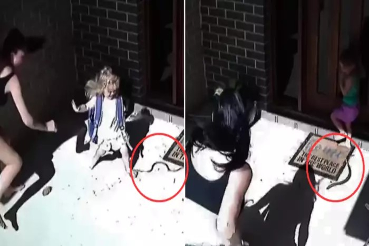 Mother Saves Daughters from Snake Video