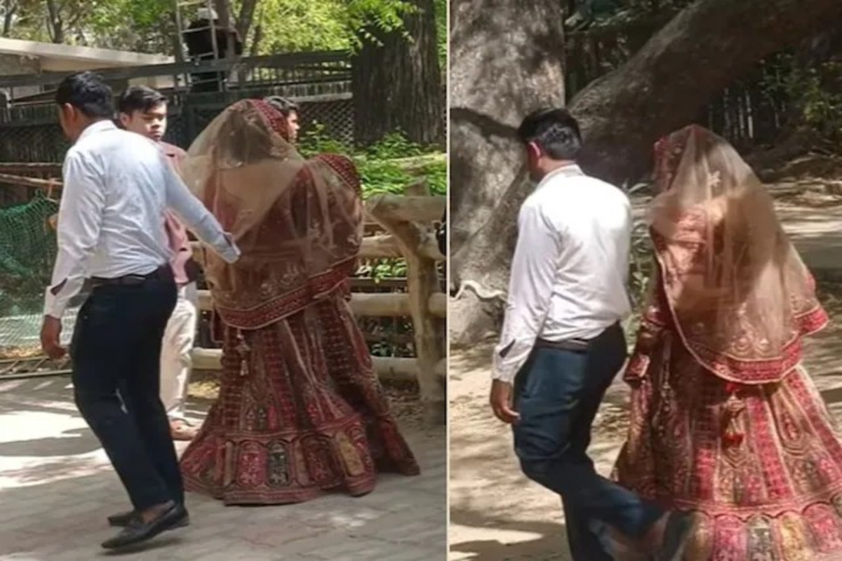 Woman wear Lehenga at Zoo Viral Video